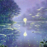 Night vision