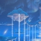 Detalhe 04