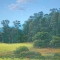 Detalhe 01