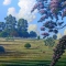Detalhe 02