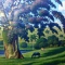 Detalhe 01