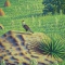 Detalhe 02