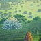 Detalhe 03