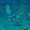 Detalhe 05