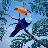 The Perch of the Toucan
